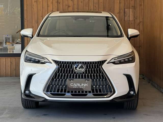 NX 450hプラス バージョンL