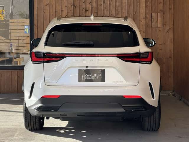 NX 250 バージョンL