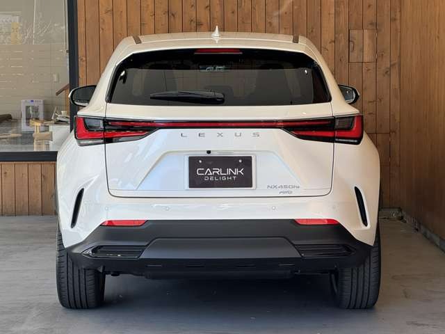 NX 450hプラス バージョンL