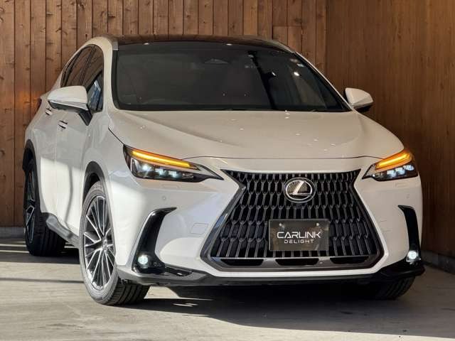 NX 250 バージョンL