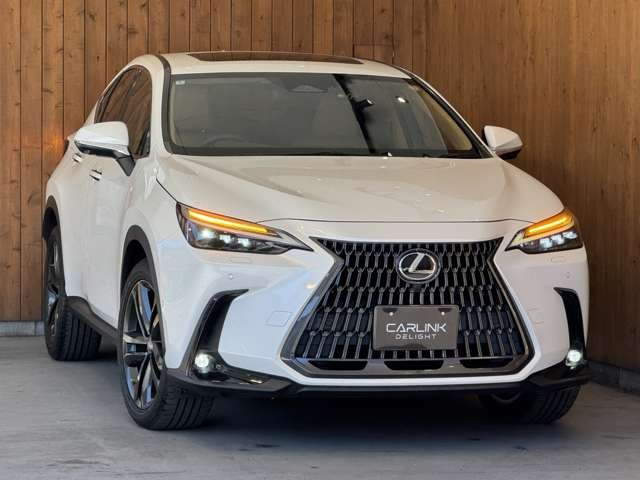 NX 450hプラス バージョンL