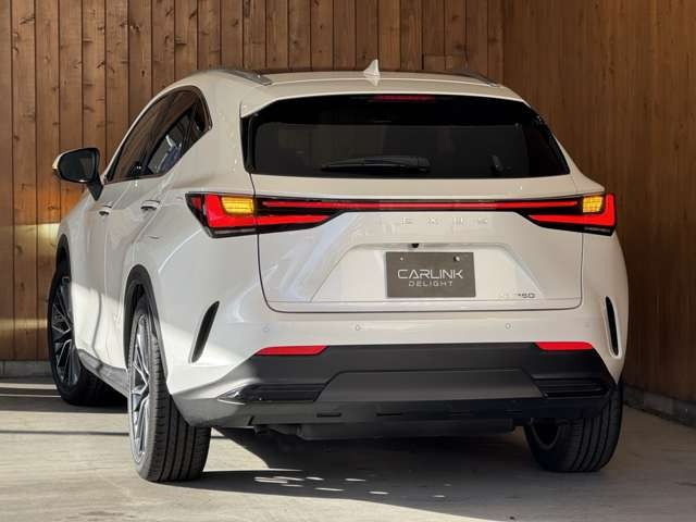 NX 250 バージョンL