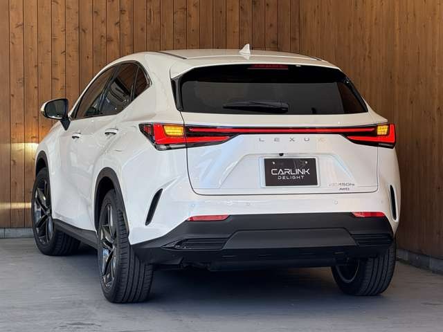 NX 450hプラス バージョンL