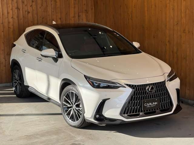 NX 250 バージョンL