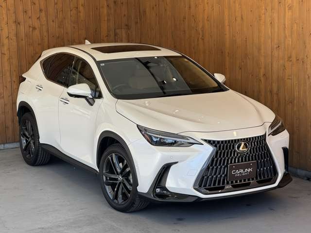 NX 450hプラス バージョンL