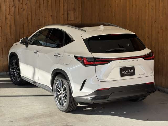 NX 250 バージョンL