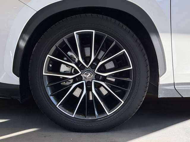 NX 250 バージョンL