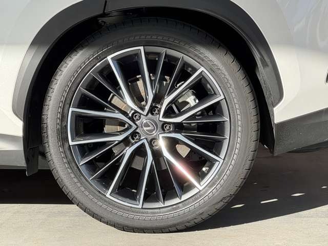 NX 250 バージョンL