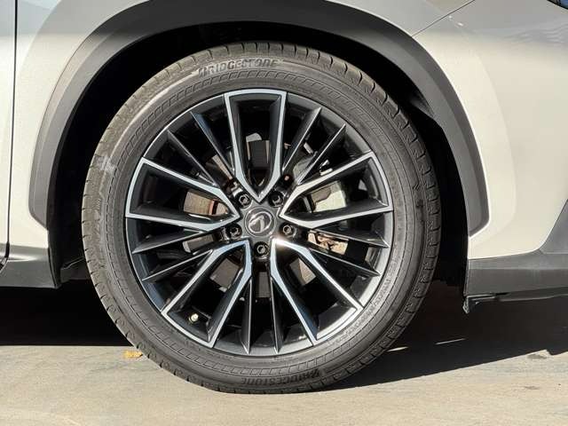 NX 250 バージョンL