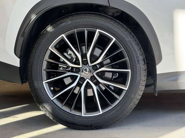 NX 250 バージョンL