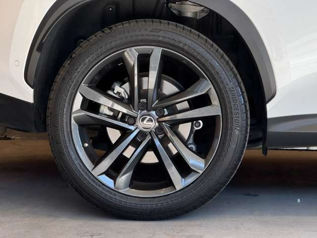 NX 450hプラス バージョンL