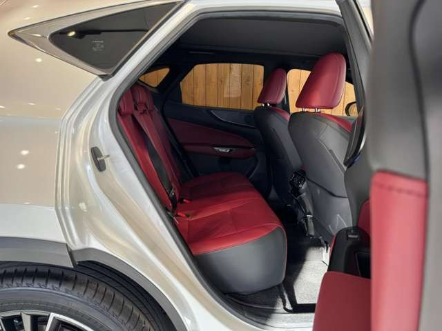 NX 250 バージョンL