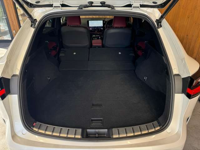 NX 250 バージョンL