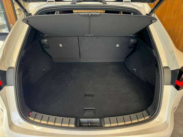 NX 250 バージョンL