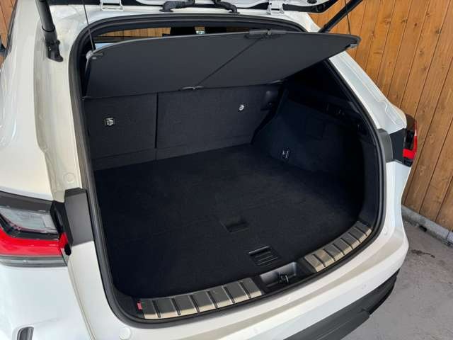 NX 250 バージョンL