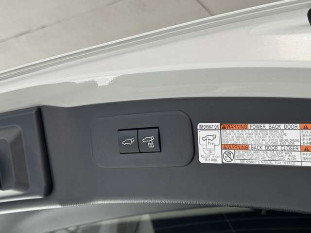 NX 250 バージョンL