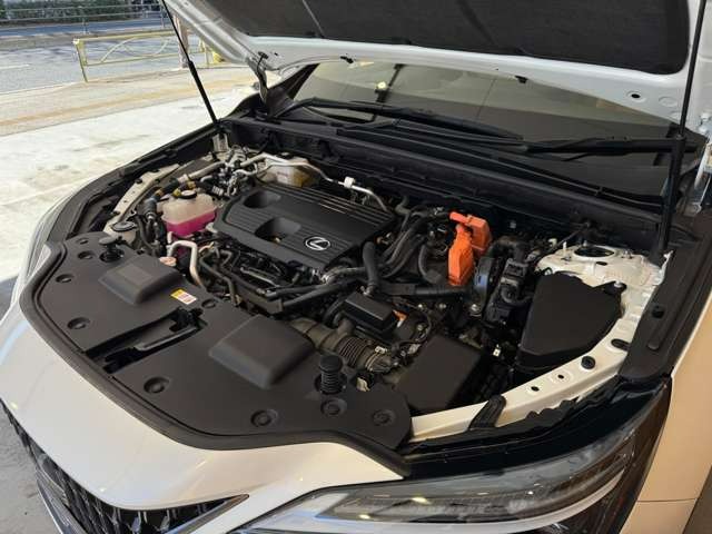 NX 450hプラス バージョンL