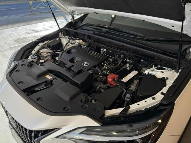 NX 250 バージョンL