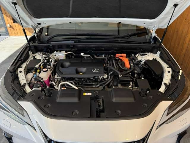 NX 450hプラス バージョンL