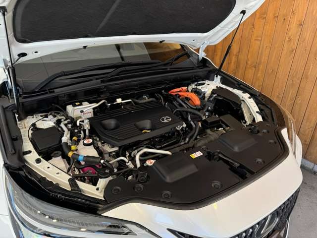 NX 450hプラス バージョンL