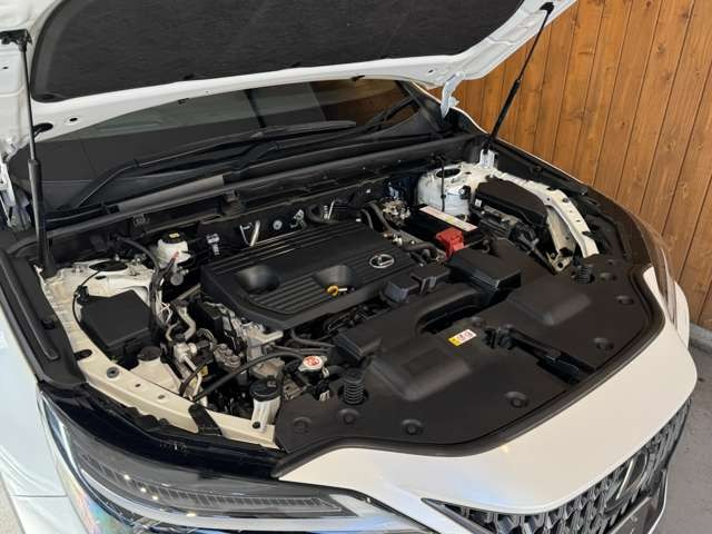 NX 250 バージョンL