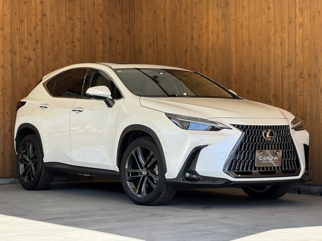 NX 450hプラス バージョンL 574.9万円