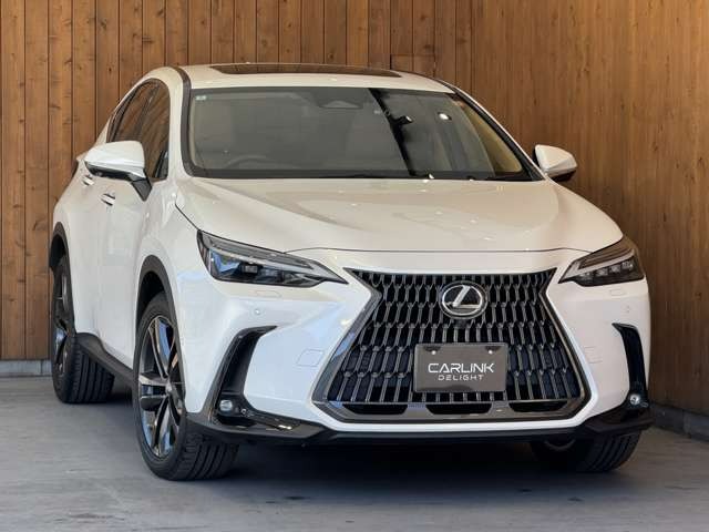 NX 450hプラス バージョンL