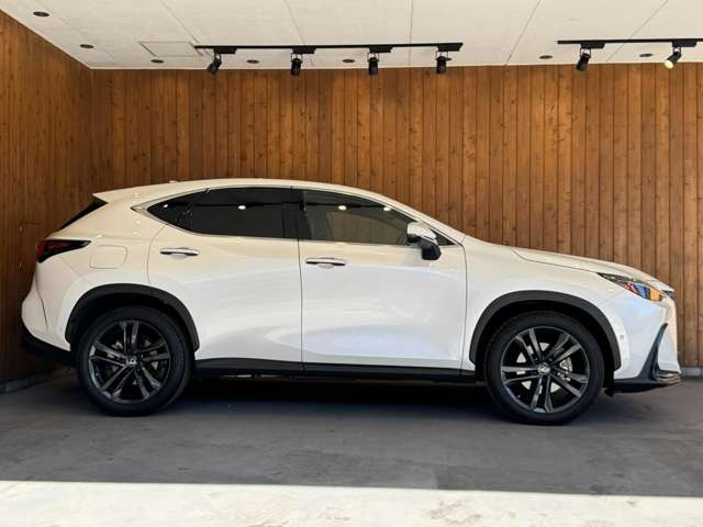 NX 450hプラス バージョンL