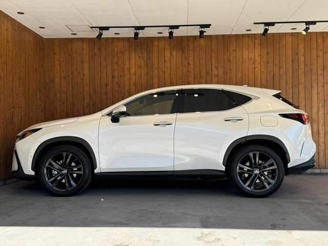 NX 450hプラス バージョンL