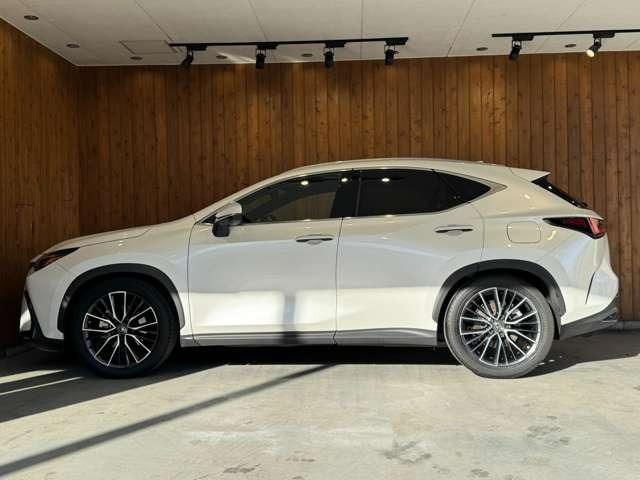 NX 250 バージョンL