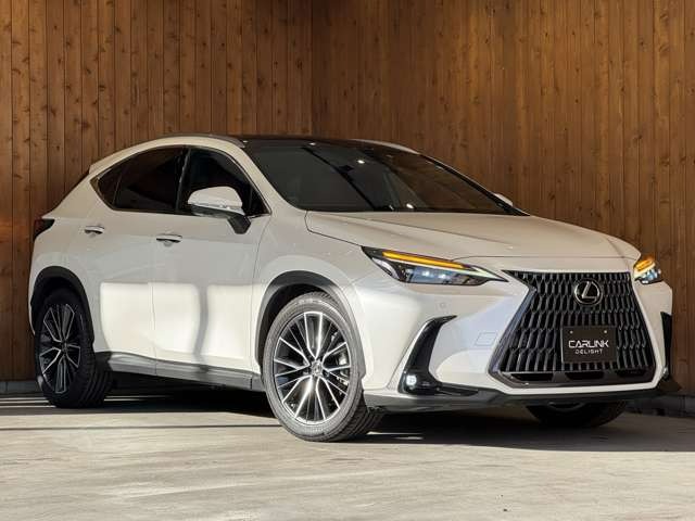 NX 250 バージョンL