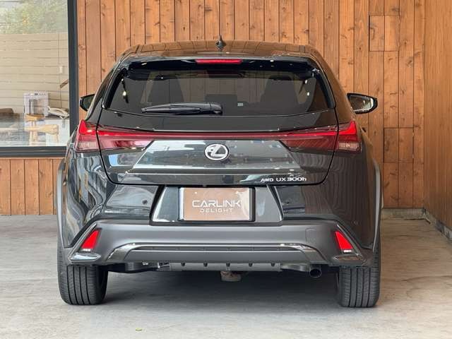 UX 300h Fスポーツ