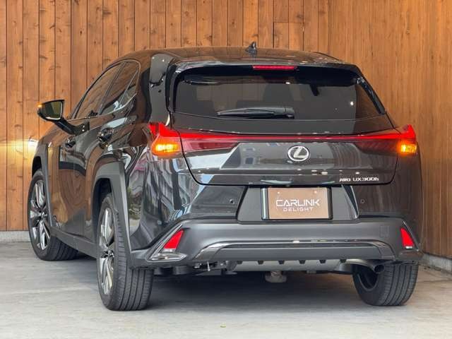 UX 300h Fスポーツ