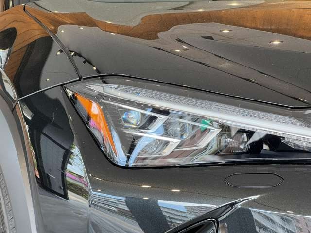 UX 300h Fスポーツ