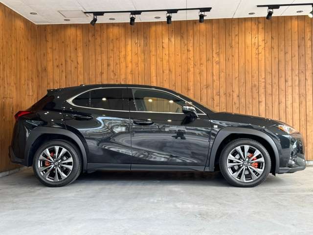 UX 300h Fスポーツ