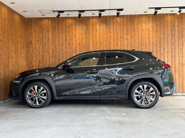 UX 300h Fスポーツ