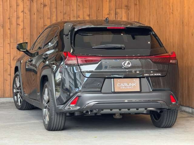 UX 300h Fスポーツ