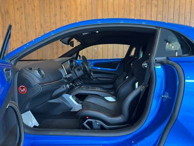 A110 S カーボンルーフ
