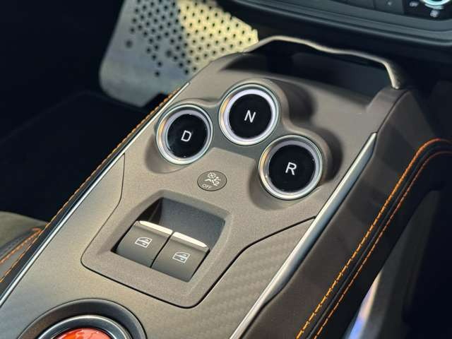 A110 S カーボンルーフ