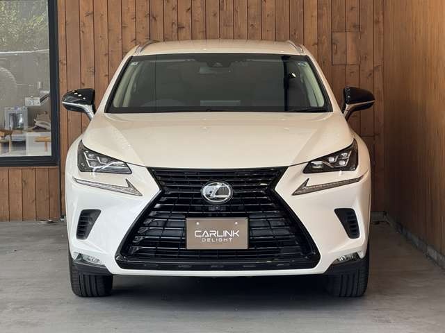 NX 300 ブラック シークエンス