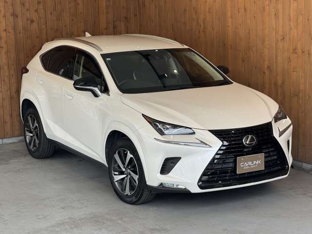 NX 300 ブラック シークエンス