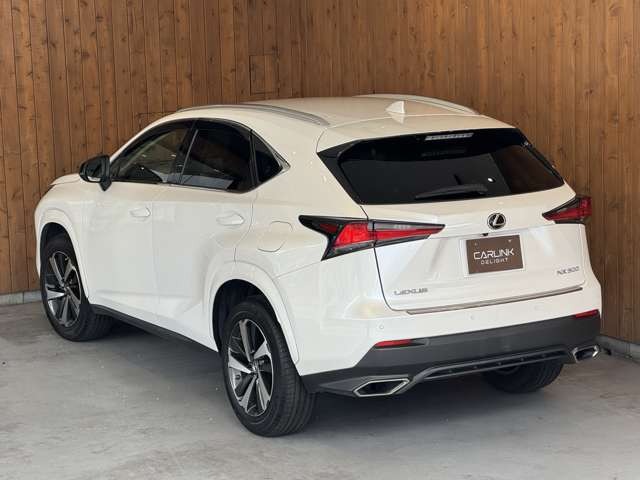 NX 300 ブラック シークエンス