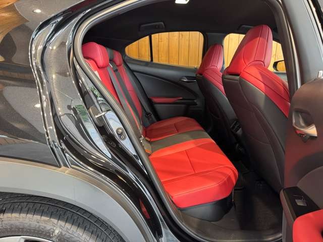 UX 250h Fスポーツ