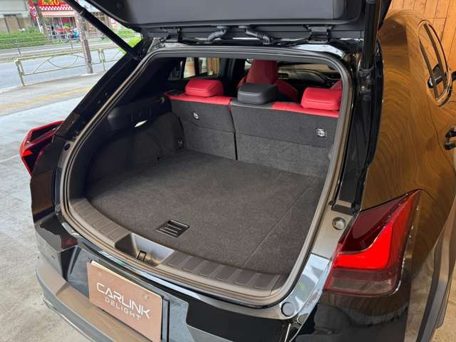 UX 250h Fスポーツ