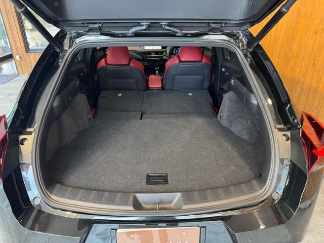 UX 250h Fスポーツ