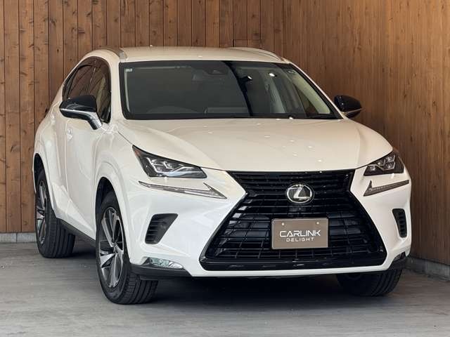 NX 300 ブラック シークエンス