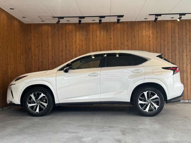 NX 300 ブラック シークエンス