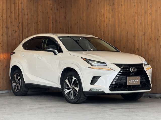 NX 300 ブラック シークエンス