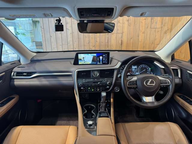 RX 300