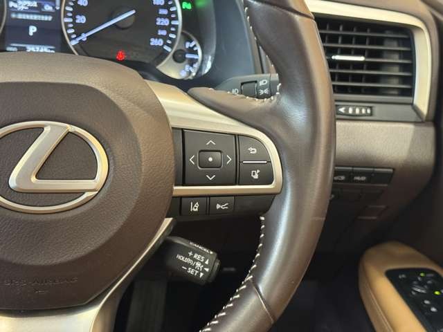 RX 300
